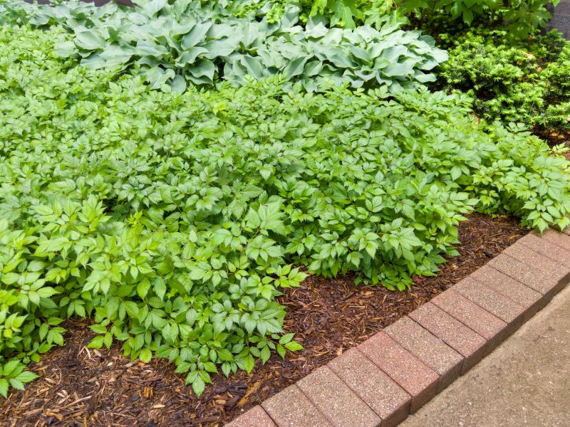 Brick Landscaping Installation in Norwalk, CT